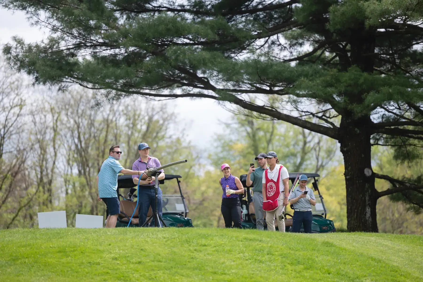 Group of golfers gathered at a tee box beneath a large pine tree